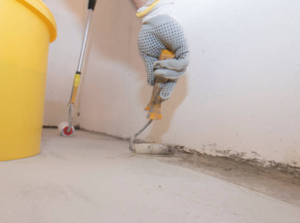 Best Pest Control for Multi-Family Homes  in Shoreview, MN